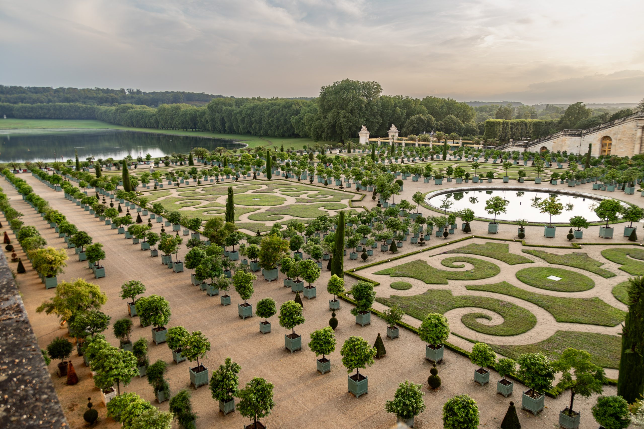 _X1A8158-Avec accentuation-Bruit Jardins de l'orangerie du château de Versailles